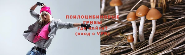 крисы Наволоки