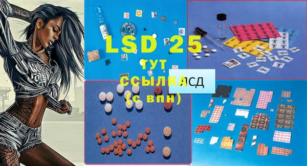 крисы Наволоки