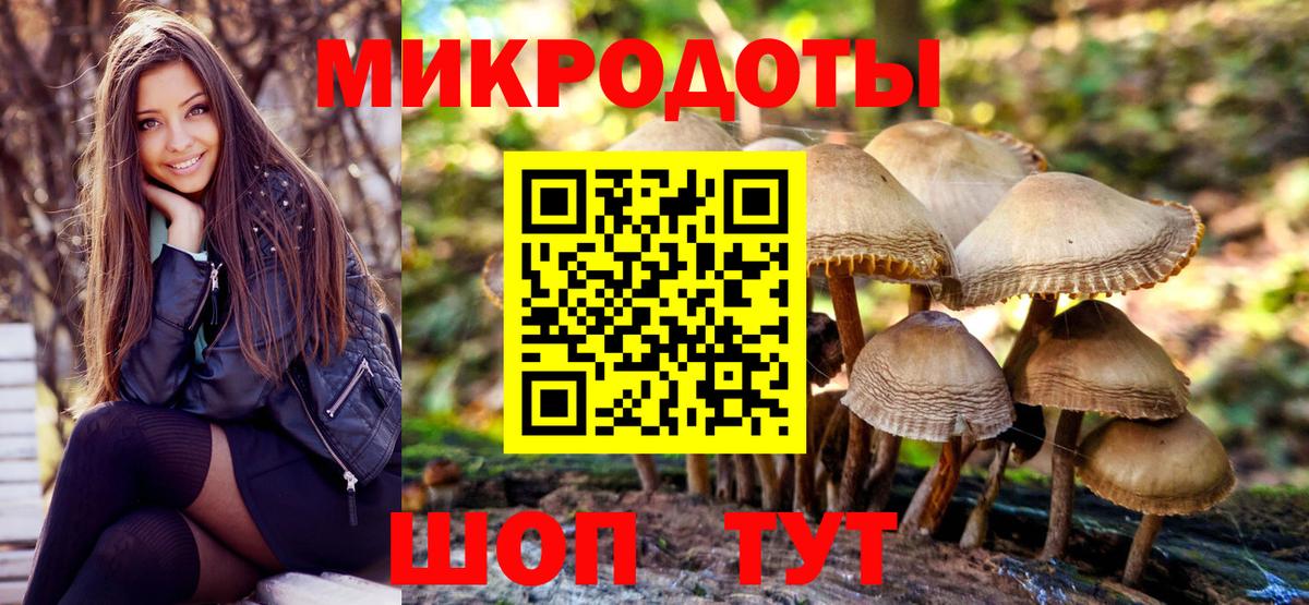 Гагарин  Псилоцибиновые грибы GOLDEN TEACHER  Вход с VPN 