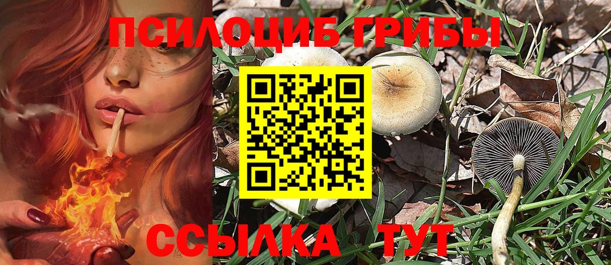 Галлюциногенные грибы мицелий  Гагарин 